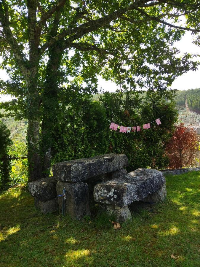 カステロ・デ・パイヴァ Casa Do Vale De Gondraヴィラ エクステリア 写真