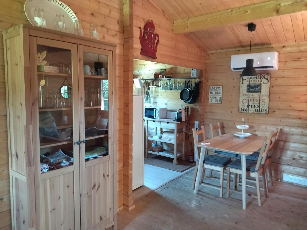 カステロ・デ・パイヴァ Casa Do Vale De Gondraヴィラ エクステリア 写真